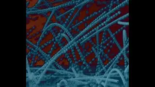 Cosmology Segment: Dust, Glass, Gamma Rays, Cosmic Rays, and Polarization!