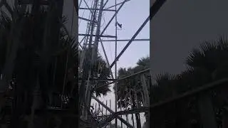 JIO 5G MICROWAVE INSTALL #jiotower #jio4g #microwave #jio4g