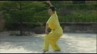 Wushu Chang Quan Yi Lu  初级长拳一路