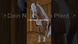 Dein Name dein Pferd in SSO💕✨🎀🫶🏻‼️NICHT alles meine Bilder‼️#sso #namen #pferde