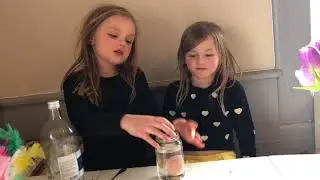 Experiment 13: Studsigt &auml;gg