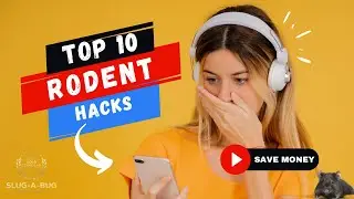 How to get rid of rodents - Brisbane -10 Top Rodent Hacks & Tips