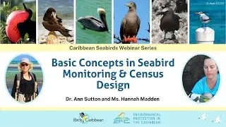 #2 Basic Concepts in Seabird Monitoring and Census Design
