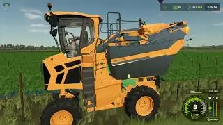 Farming Simulator 25 Gregoire gl 8 6 ile Üzüm hasadı  #Barbera #grape farming