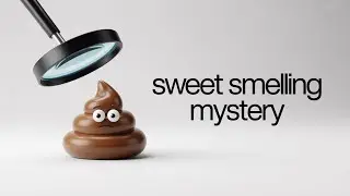 What Your Poop&rsquo;s Smell Says About Your Blood Sugar!