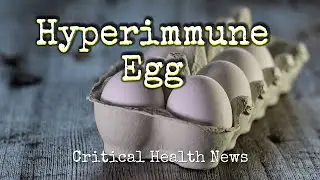 Hyperimmune Egg - Pharmacist Ben Fuchs - Moment of Truth