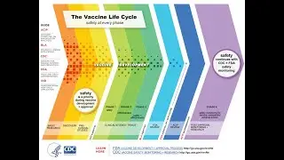 Health Wav &mdash; Dr. Mark Wiggins, Vaccine Process