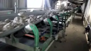 Cantare de banda transportoare SWEDA VK-230 au fost fabricate pentru fabrica de gips