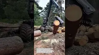 Extreme Tree Cutting Attachment &ndash; High-Power Forestry Harvester Head