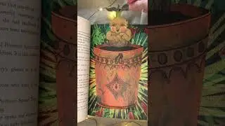 Самое волшебное издание Гарри Поттера ❤️#harrypotter #minalima #книги #гаррипоттер