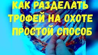 ТОНКОСТИ ОХОТНИКА ОДИНОЧКИ НА ХОДОВОЙ ОХОТЕ.