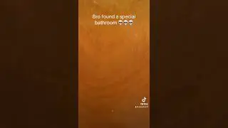Bro found the special bathroom 💀💀#funny #toilet #skit