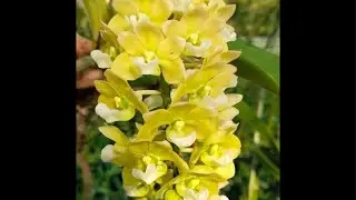Xả lỗ thu hồi vốn 0374035768