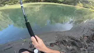 Little Catfish eat my Gobster Shad Savage Gear