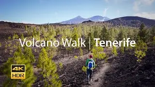Volcano Walk in Tenerife, Canary Islands | 4K Scenic Relaxation Film