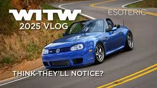 Wookies In The Woods 2025 Vlog