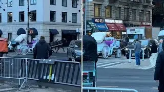 Runaway carriage horse crashes into cars in Midtown