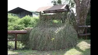 Visite de Prémery Taille moyenne