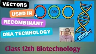 Vectors used in Recombinant DNA Technology, features of vectors, plasmid, cosmid, BAC, YAC, M13