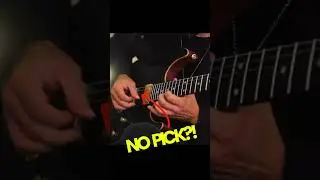 The Finger Picking Shredder 🔥