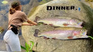 Fishing the River for Trout - 6 AM in the RAIN! (Catch, Clean + Cook)