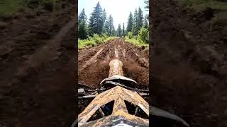 Epic Mud Pit Challenge: Off-Road Dirt Bike POV! 🌲🏍️