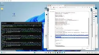 Windows 11 Zapp Focus Issues