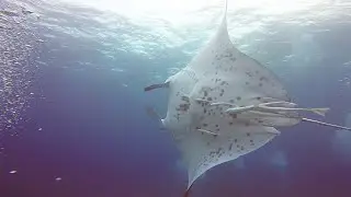 2019-08-01 - Fin de formation N3 - Passe de Boulari - Noum&eacute;a - Nouvelle Cal&eacute;donie