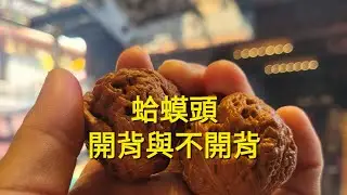 （文玩刷刷）蛤蟆頭，開背與不開背