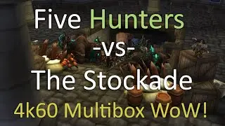 Five Hunters vs The Stockade [4k 60fps UHD] World of WarCraft Multibox Gameplay