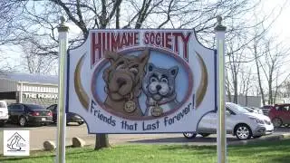 Genesee County Mi Humane Society