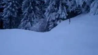 Carl 'calamity' Carter goes skiing