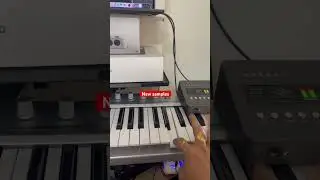 LOGIC || SAMPLES || PAVAN RHYTHM ||