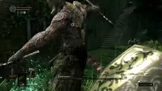 Dark Souls Remastered NG+6 SL1 Capra Demon Kill
