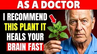 6 Plants a Neurologist Recommends to Shield Your Brain | Senior Health