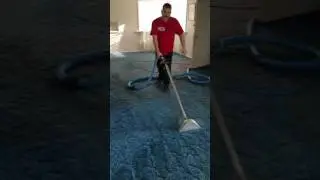 Toby with Advanced Cleaning Solutions cleaning carpet.