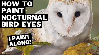 How to Paint Nocturnal Bird Eyes #birdpainting #oilpaintingtutorial