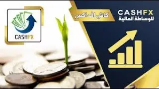 Cash FX Forex Group Platform Potential For Long Term Passive Income