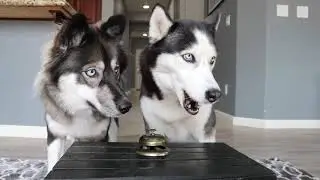 Ring the Bell Get the Treat
