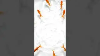 #1 Best Catching Game for Fast Fish!