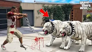 Franklin Tries To Catch The Rare White Tiger In GTA 5 | Mods 