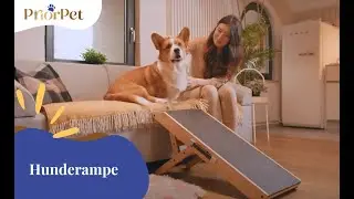 [Deutsche] PriorPet Hunderampe - Hundetreppe f&uuml;r kleine Hunde und gro&szlig;e Hunde, Einstellbar, Klappbar