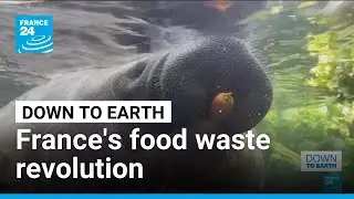 Eggs, zoos and tech at the heart of France's food waste revolution &bull; FRANCE 24 English