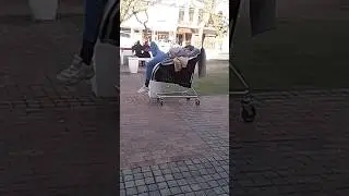 Chillin' on My Trolley in the Coolest Way - Viral Video