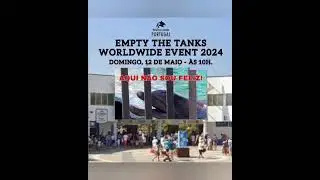We won't stop until the tanks are empty! 🐬🙌