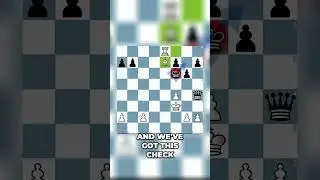 Chess Psychology: Safety vs Counterplay &ndash; Master the Fight or Flight