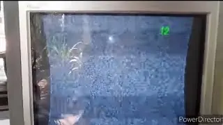 Pincushion Problem (Sony Crt Tv)