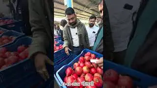 #pomegranate #fruit #lifeisbutadream #viral #farming #trending #nothingimposibleinthisworld