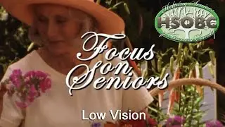 Low Vision - Focus on Seniors