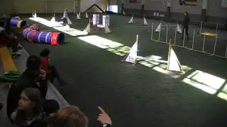 Tesla5